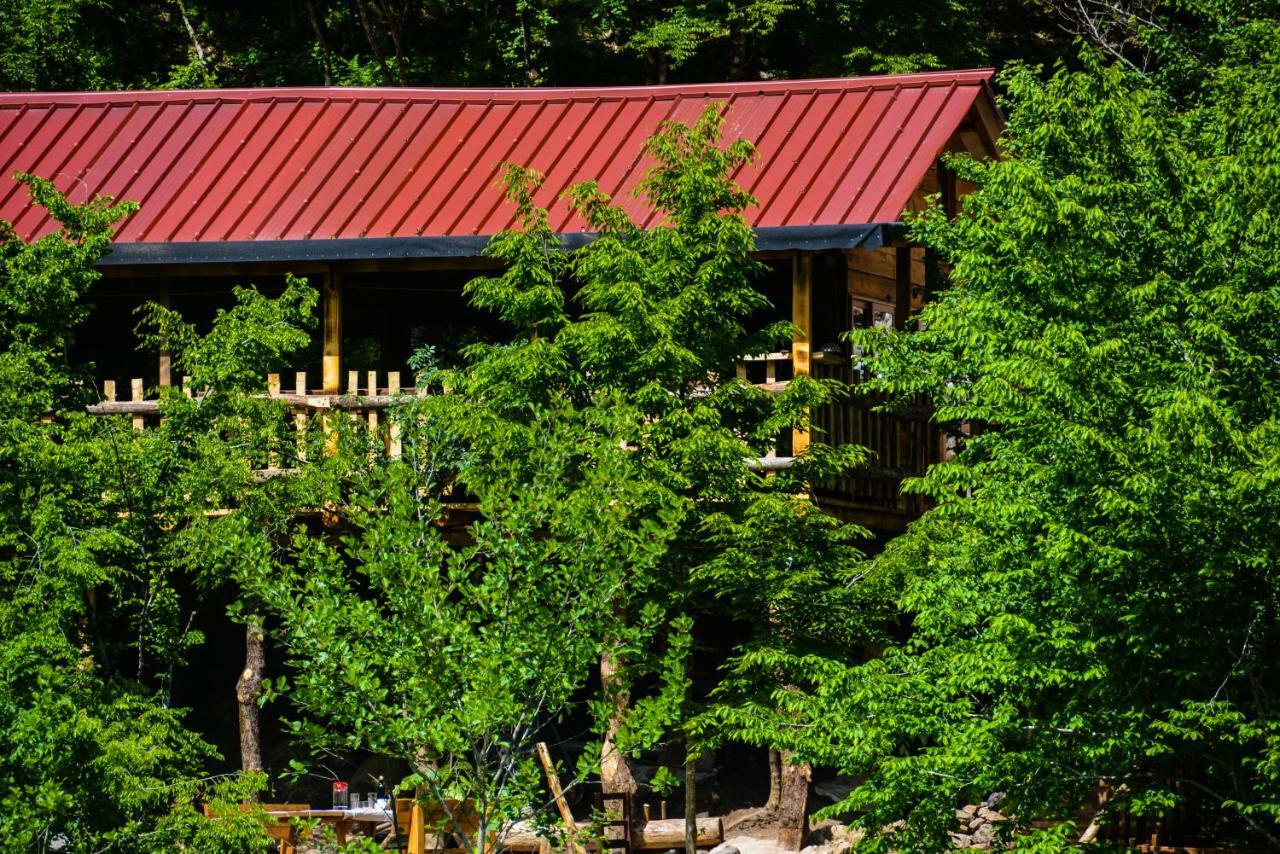 Hotel Eagles Land Moll' e Shoshit Exterior foto